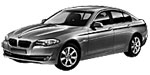 BMW F10 P320E Fault Code